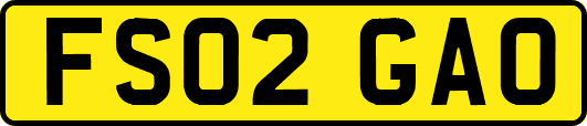 FS02GAO