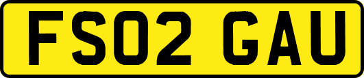 FS02GAU