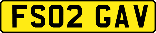 FS02GAV