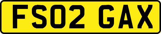 FS02GAX