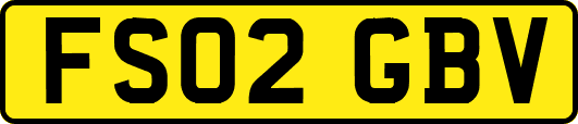 FS02GBV