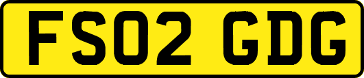 FS02GDG