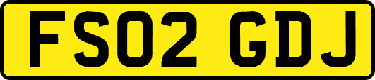 FS02GDJ