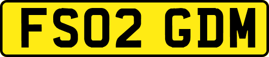 FS02GDM
