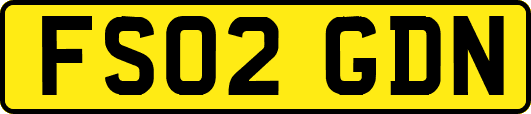 FS02GDN