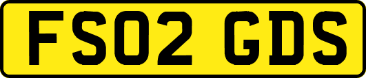 FS02GDS