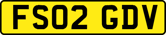 FS02GDV