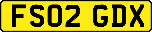 FS02GDX