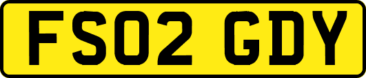 FS02GDY