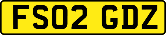 FS02GDZ