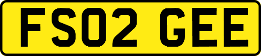 FS02GEE