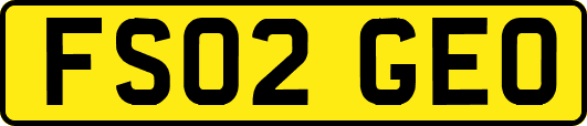 FS02GEO
