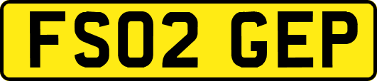 FS02GEP