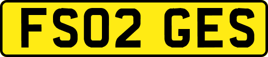 FS02GES