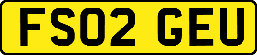 FS02GEU