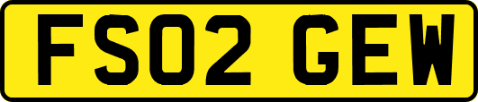 FS02GEW