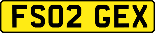 FS02GEX