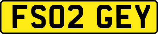 FS02GEY