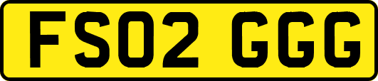 FS02GGG