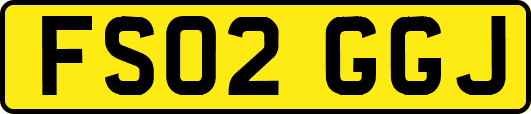 FS02GGJ