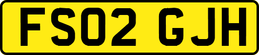 FS02GJH