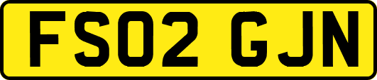 FS02GJN