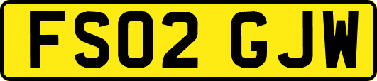 FS02GJW
