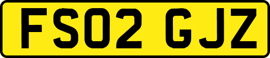 FS02GJZ