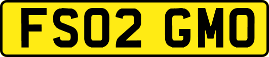 FS02GMO