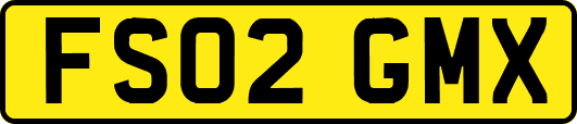 FS02GMX