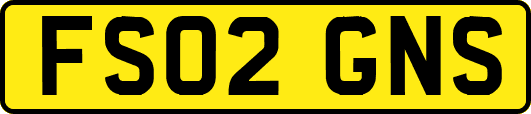 FS02GNS