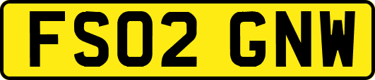 FS02GNW