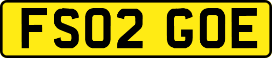 FS02GOE