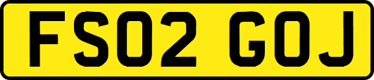 FS02GOJ