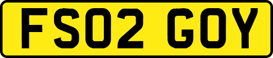 FS02GOY