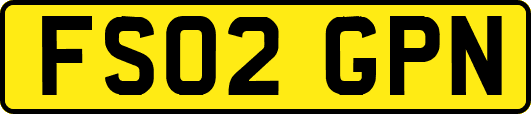 FS02GPN