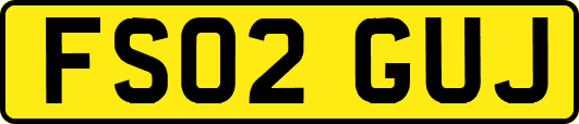 FS02GUJ