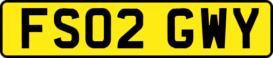 FS02GWY