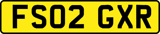 FS02GXR