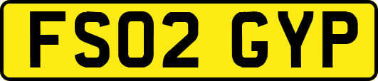 FS02GYP