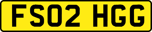 FS02HGG