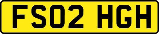 FS02HGH