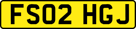 FS02HGJ