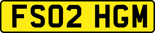 FS02HGM