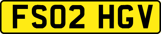 FS02HGV