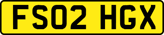FS02HGX
