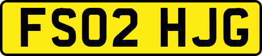 FS02HJG