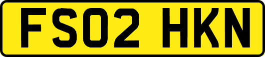 FS02HKN