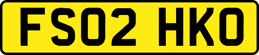 FS02HKO