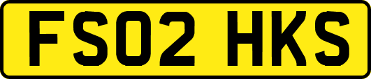 FS02HKS